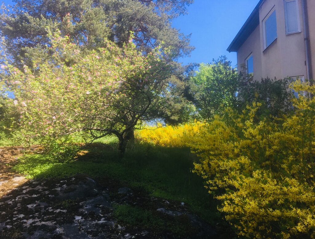 Lägenhetsbyte - Badstrandsvägen 14