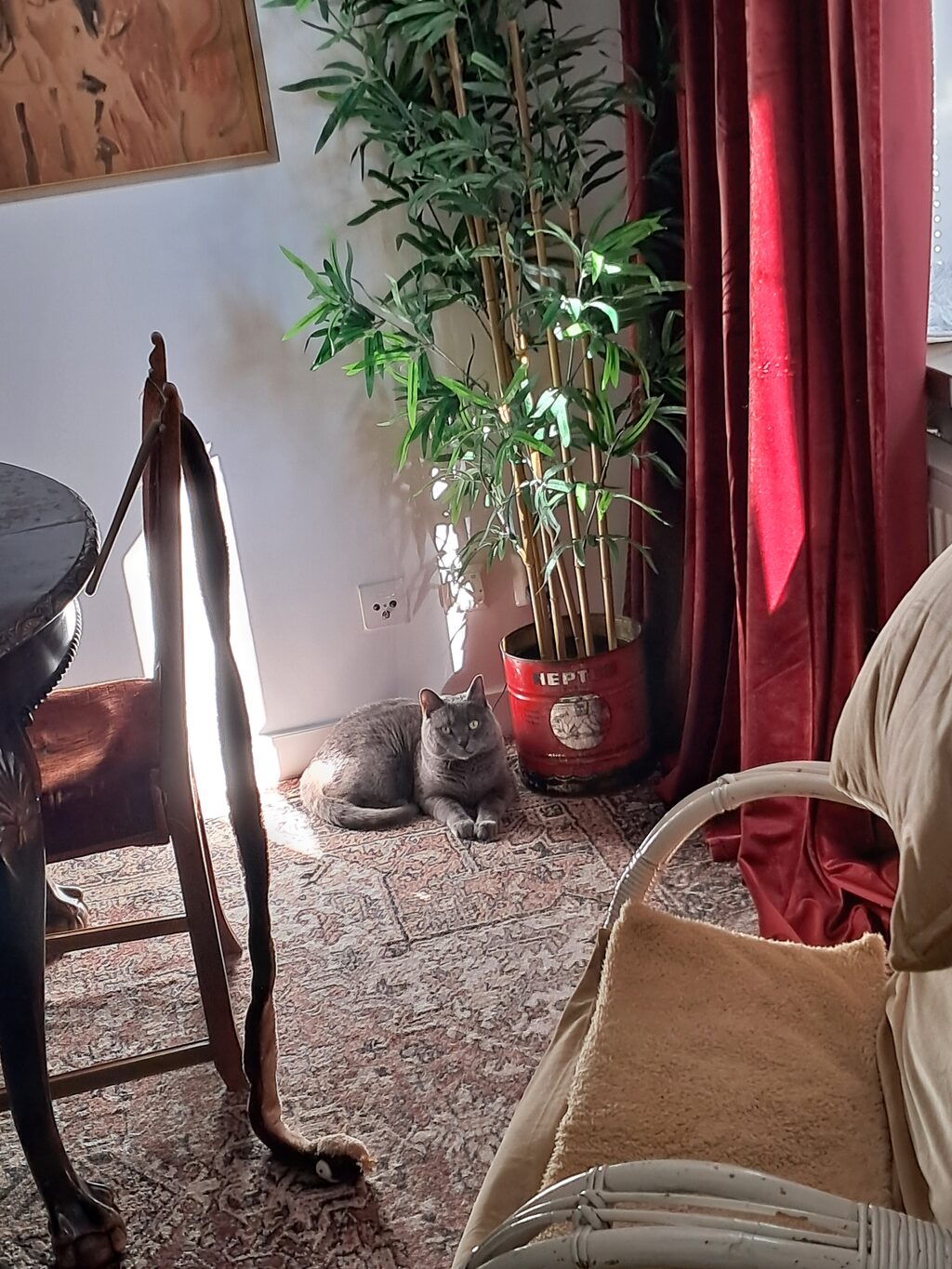 Lägenhetsbyte - Götgatan 91