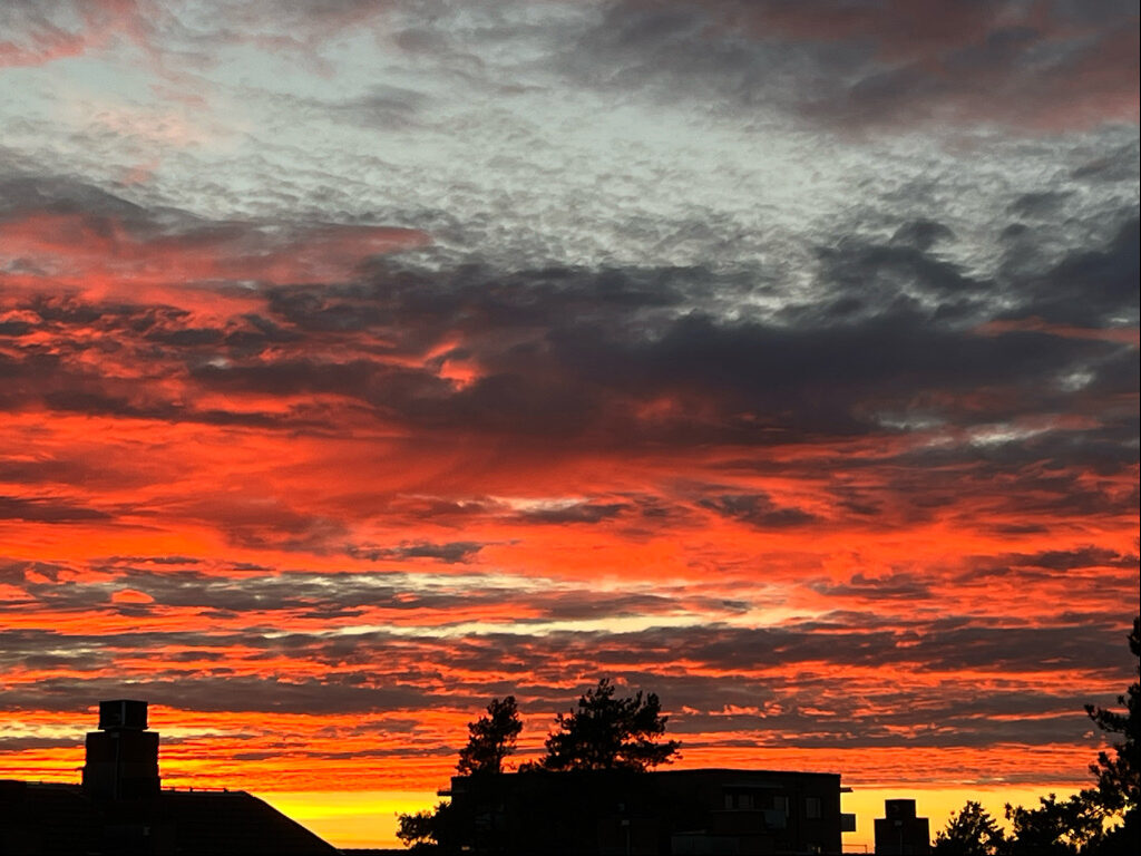 Lägenhetsbyte - Tomträttsvägen 22