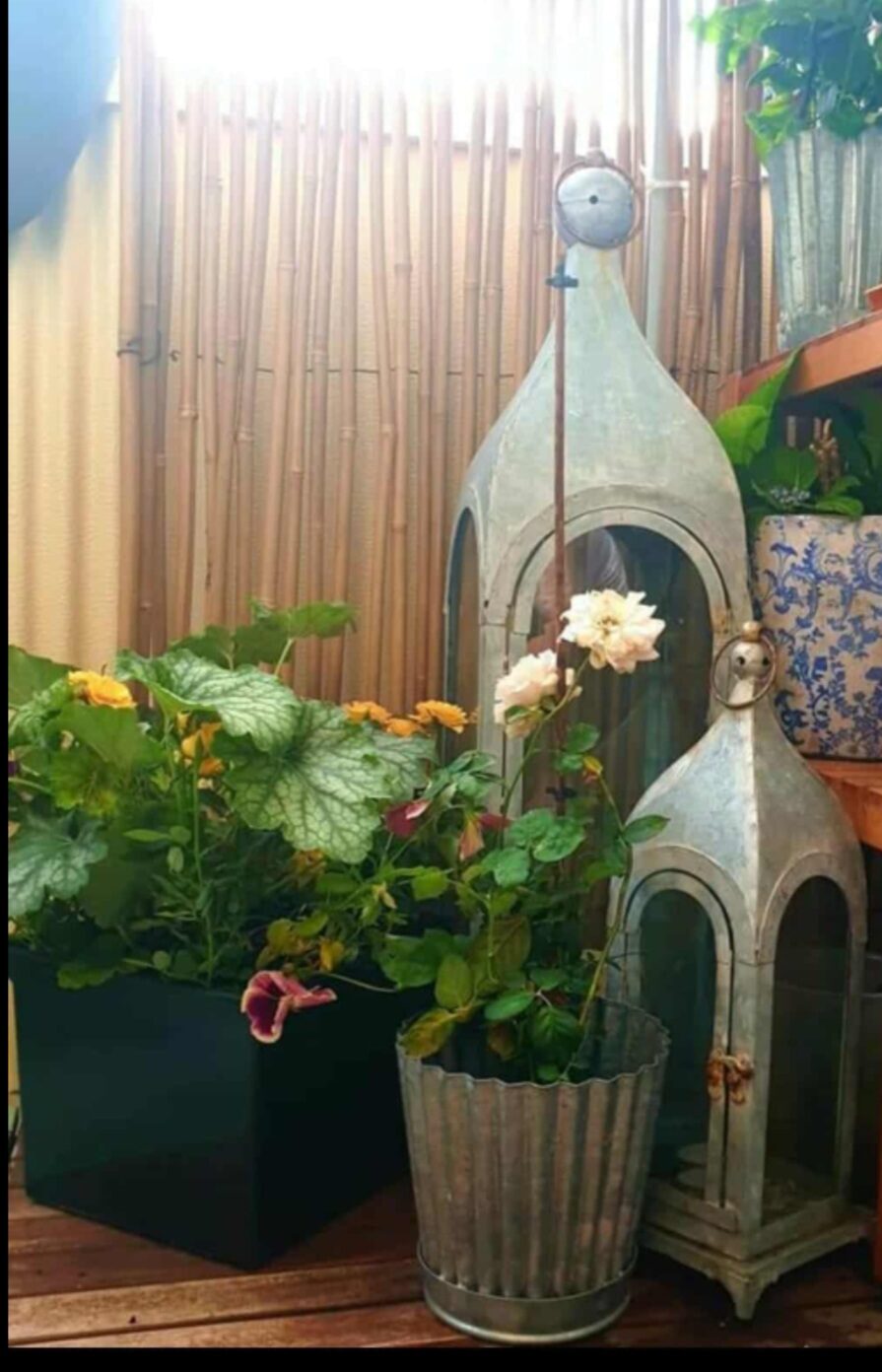 Lägenhetsbyte - Stagneliusvägen