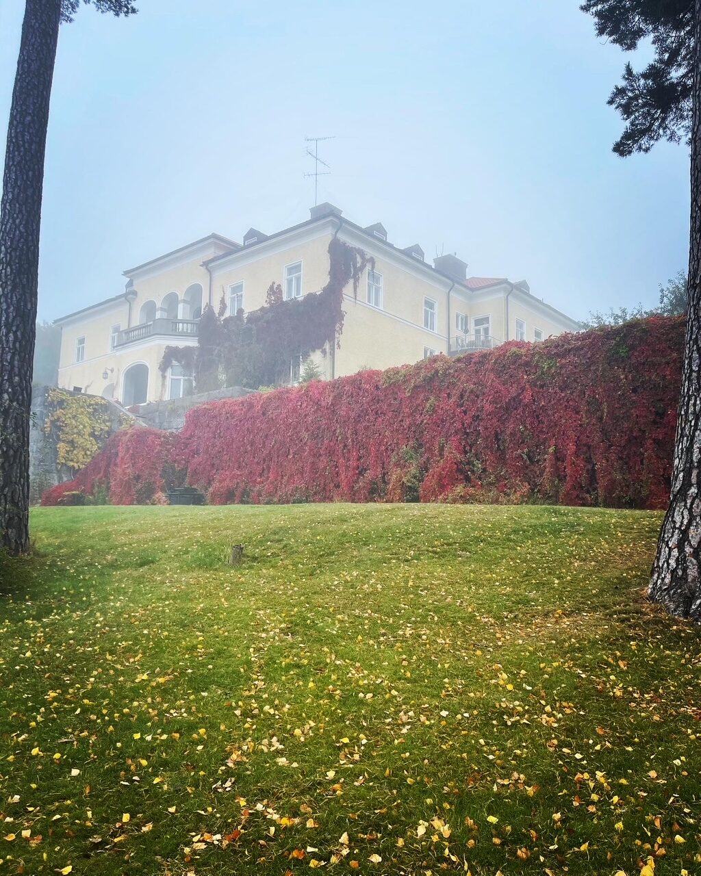 Lägenhetsbyte - Jösseforsvägen 100