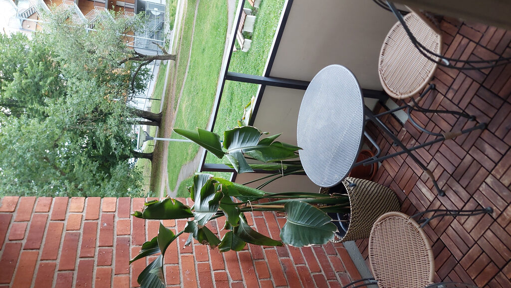 Lägenhetsbyte - Solhagavägen 32