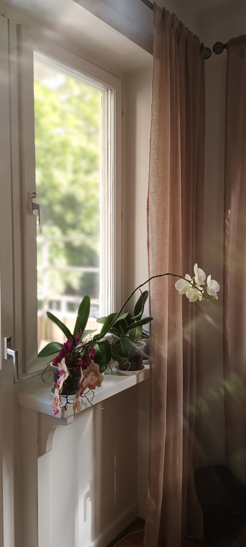 Lägenhetsbyte - Rålambsvägen 67