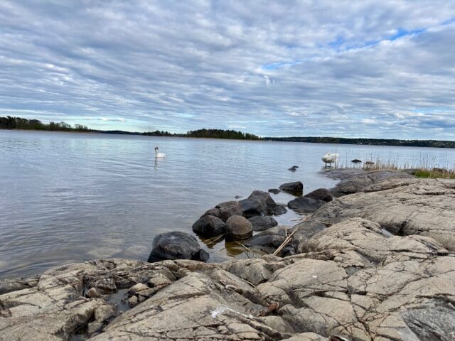 Lägenhetsbyte - Örnstigen 12