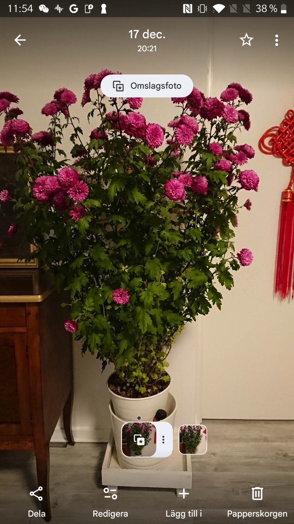 Lägenhetsbyte - Gotlandsresan 38