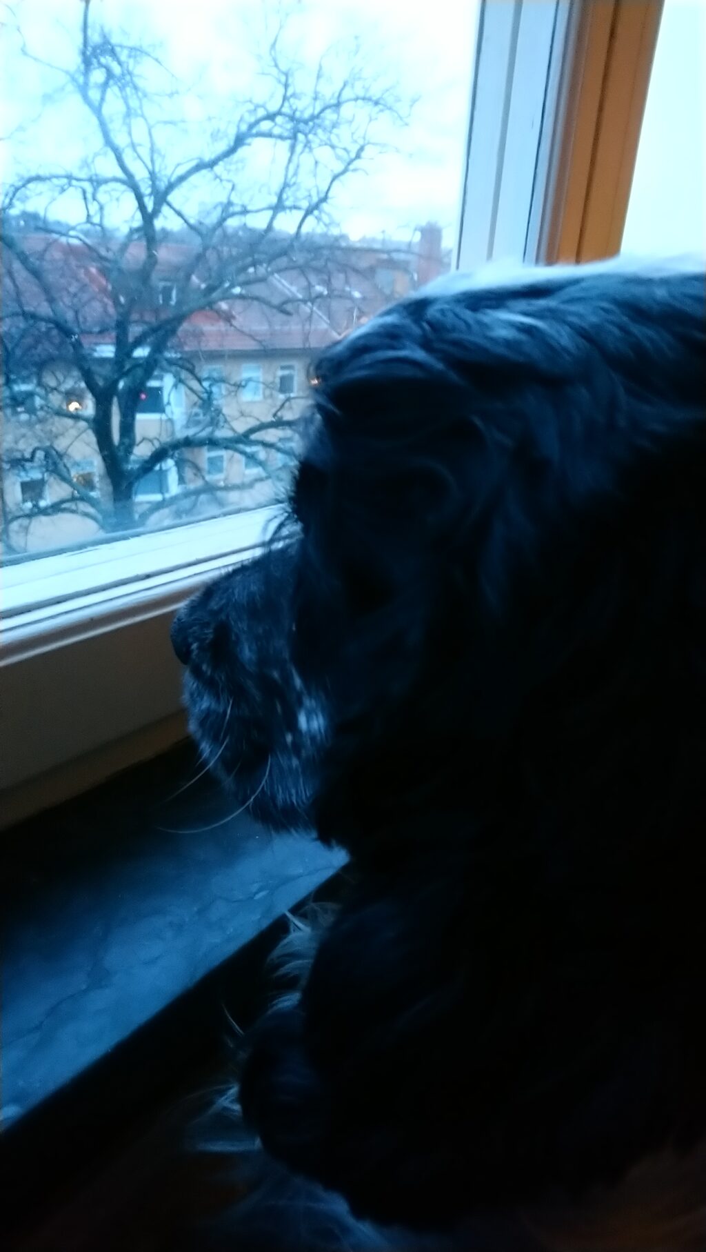 Lägenhetsbyte - Brantingsgatan 29