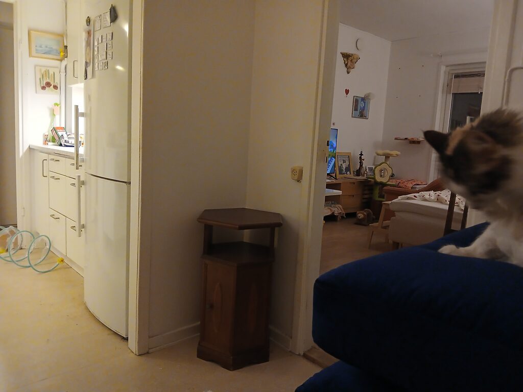 Lägenhetsbyte - Nathorstvägen