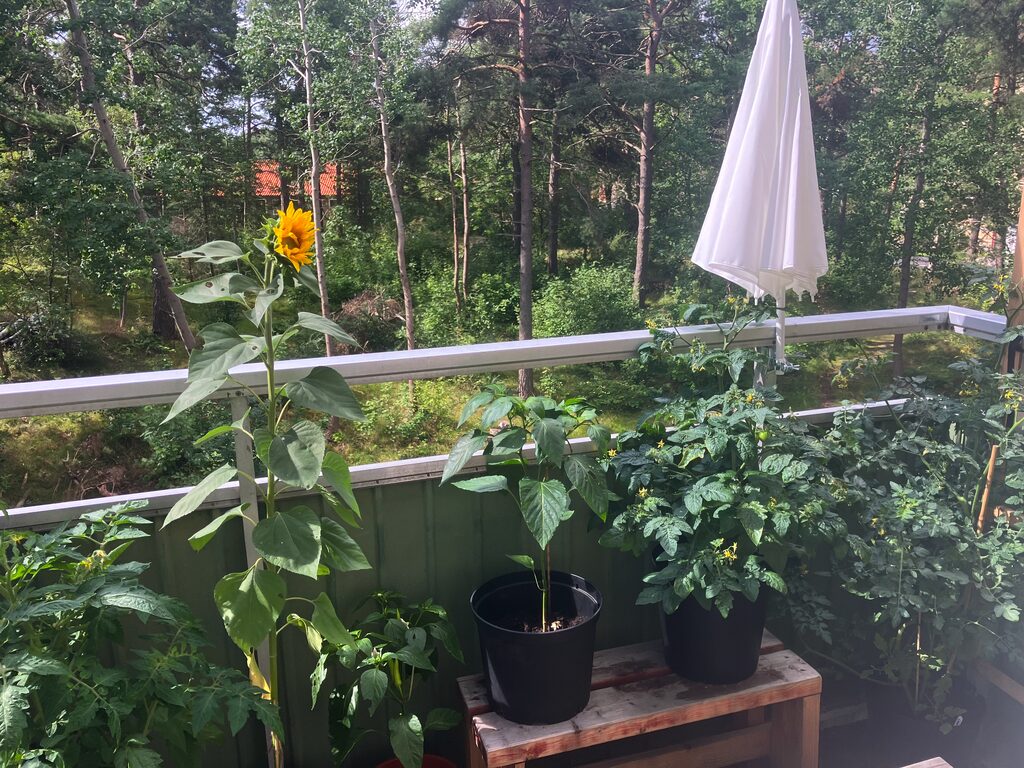 Lägenhetsbyte - Lördagsvägen 39