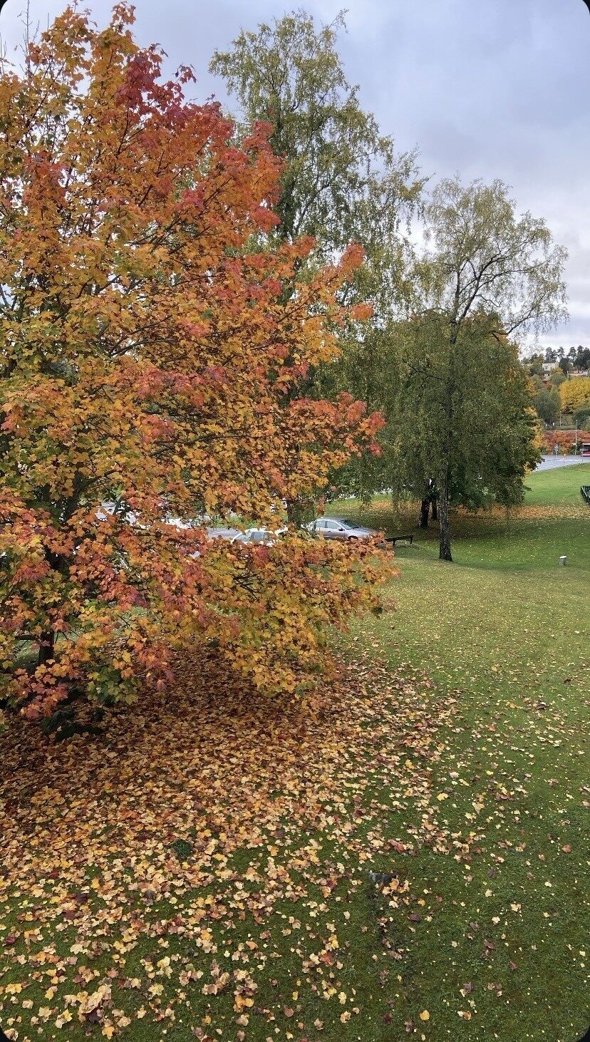 Lägenhetsbyte - Slånbärsvägen 14