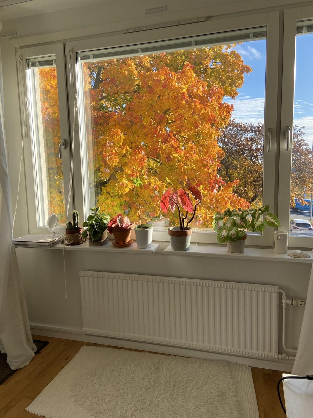 Lägenhetsbyte - Slånbärsvägen 14