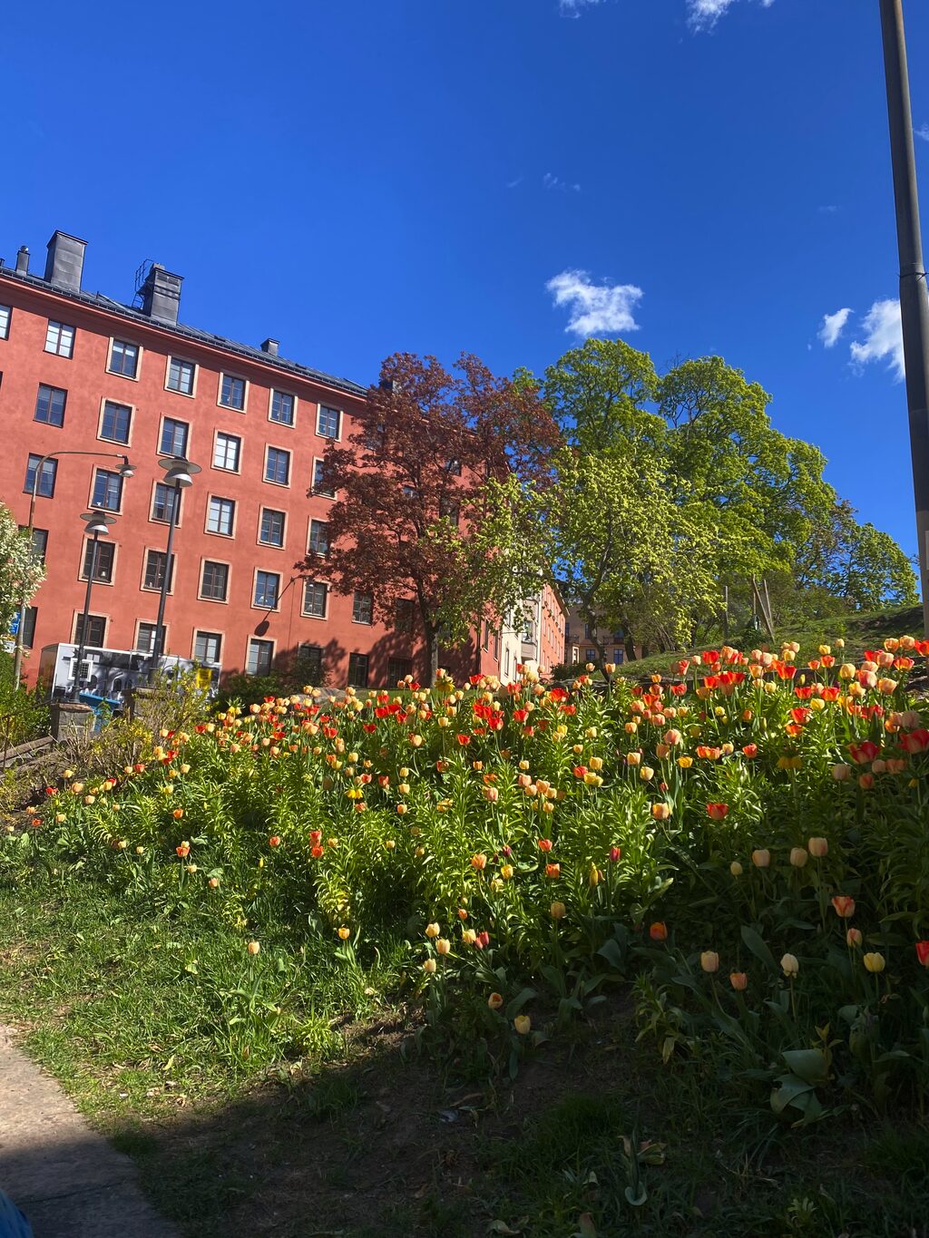 Lägenhetsbyte - Sankt Eriksgatan 102