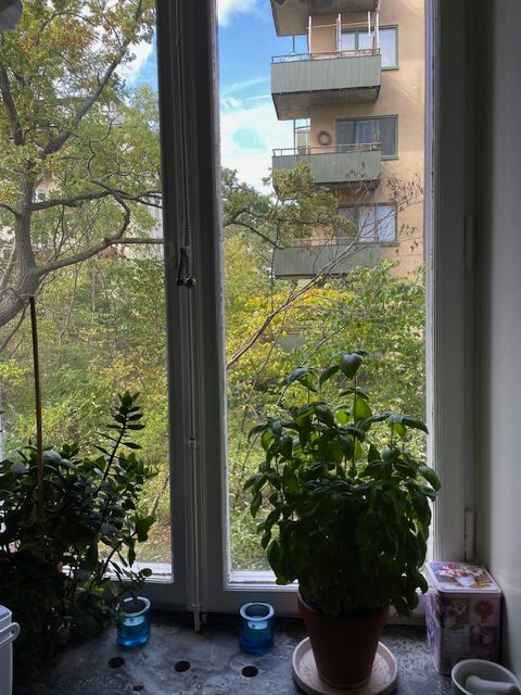 Lägenhetsbyte - Stagneliusvägen 31