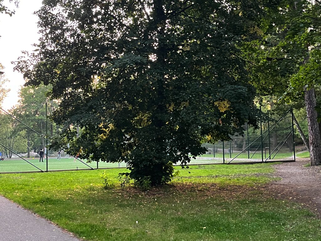 Lägenhetsbyte - Telemarksgränd 2