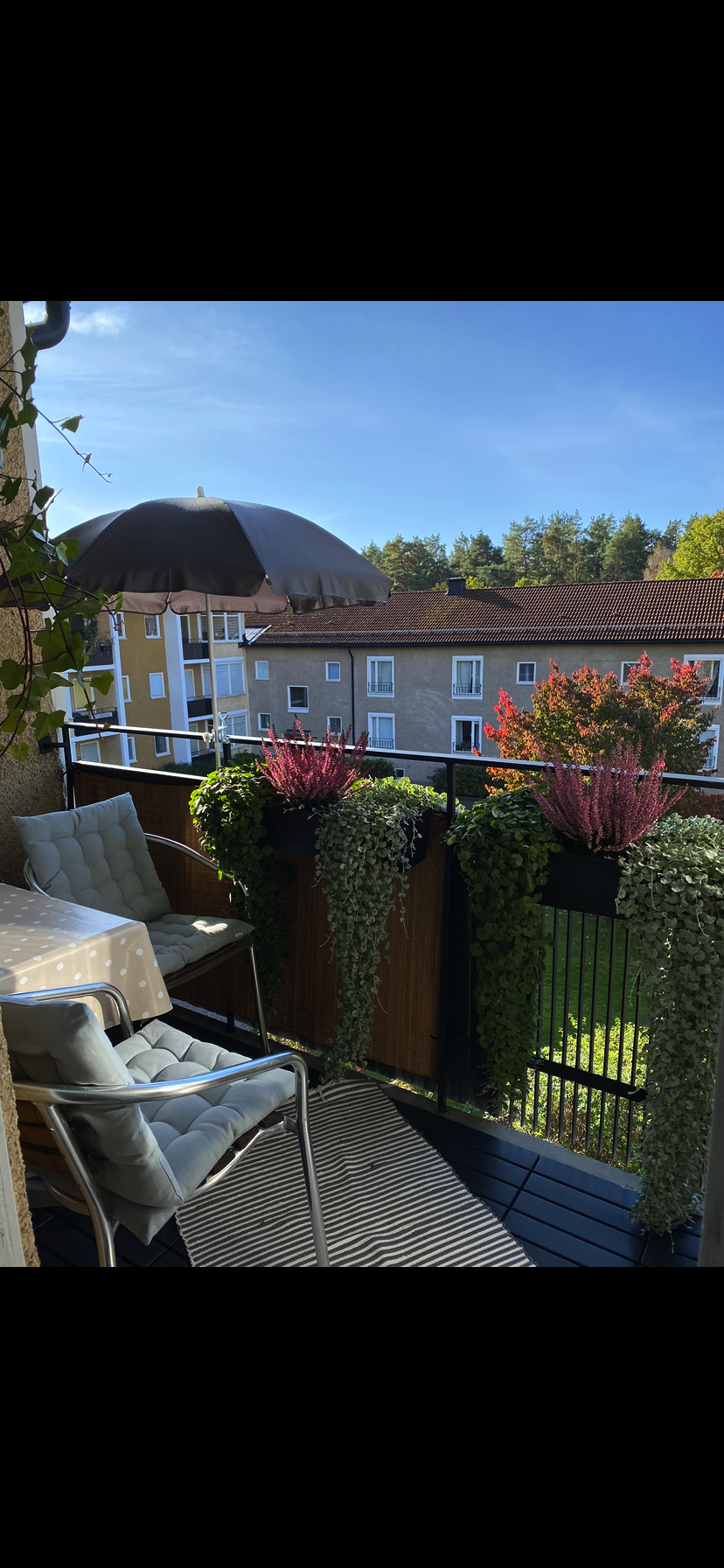 Lägenhetsbyte - Björnsonsgatan 117