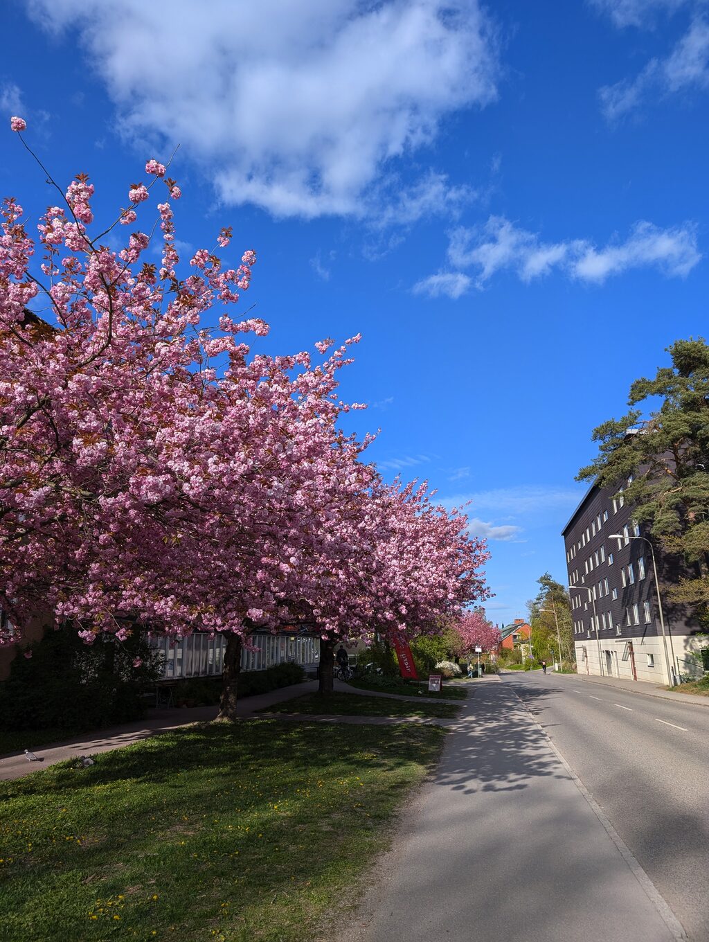 Lägenhetsbyte - Styrbjörnsvägen 10