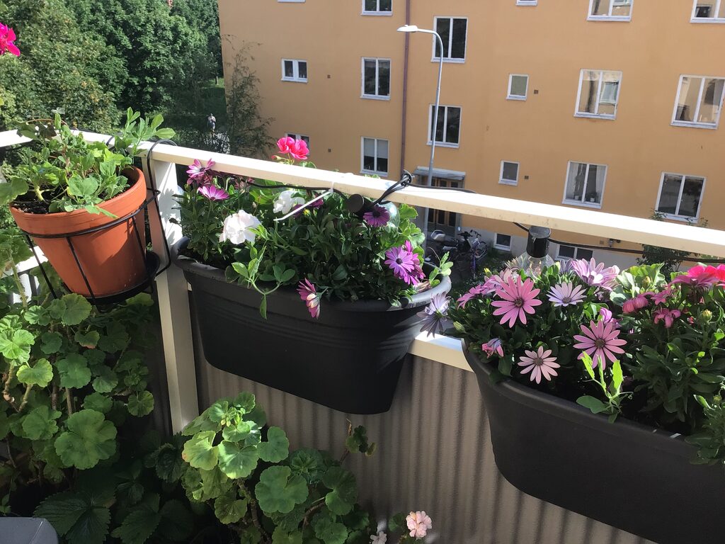 Lägenhetsbyte - Dellensvägen 2