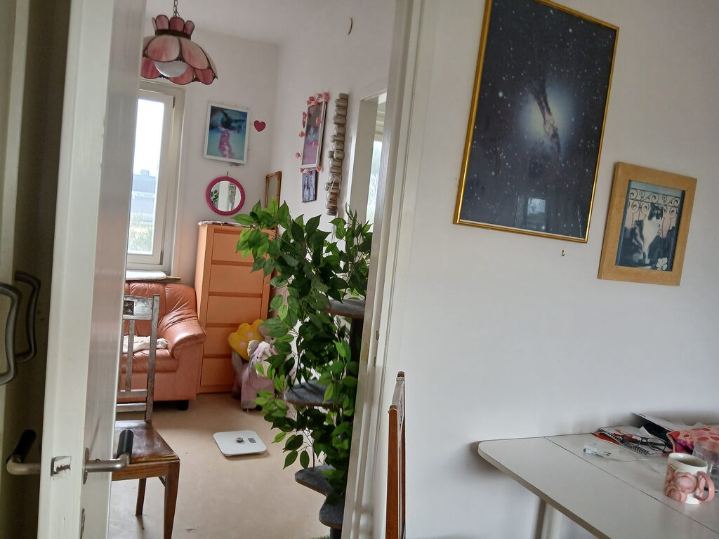 Lägenhetsbyte - Nathorstvägen