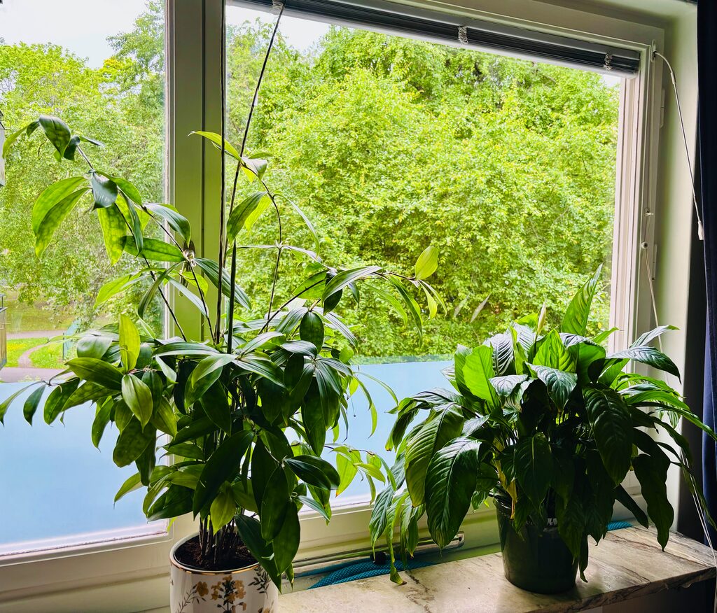 Lägenhetsbyte - Multrågatan 16