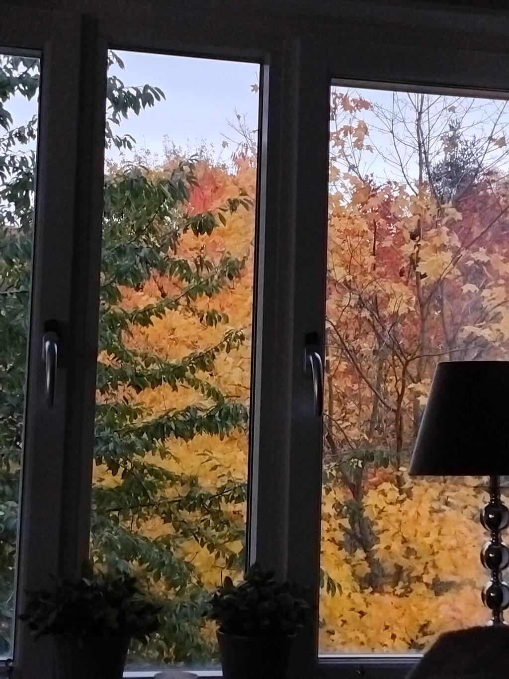 Lägenhetsbyte - Erik Sandbergs gata 25A