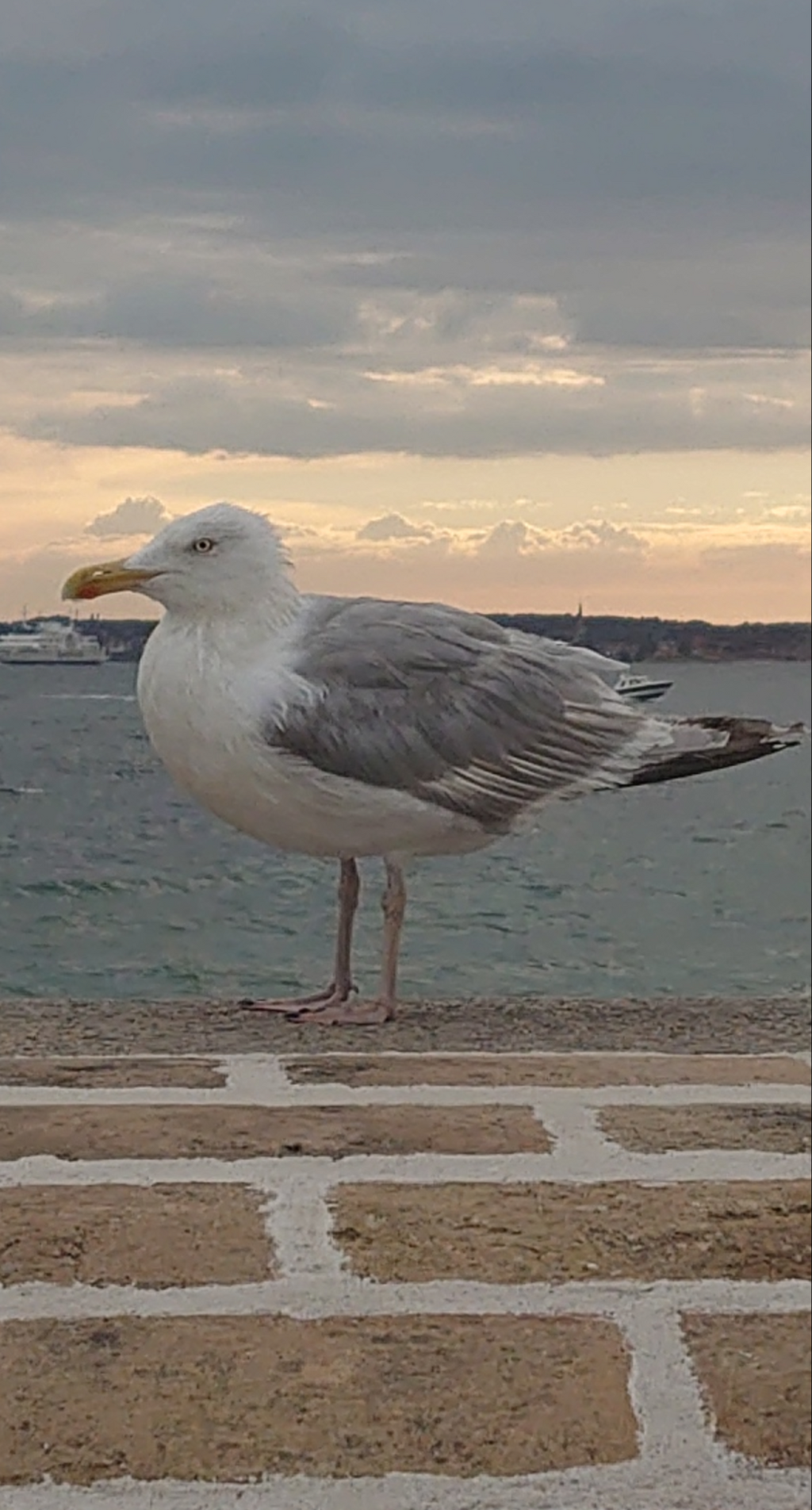 Lägenhetsbyte - Brommagatan 16