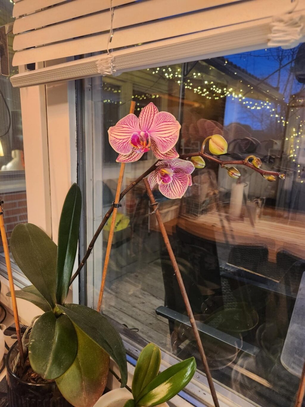 Lägenhetsbyte - Giljaregränd 2