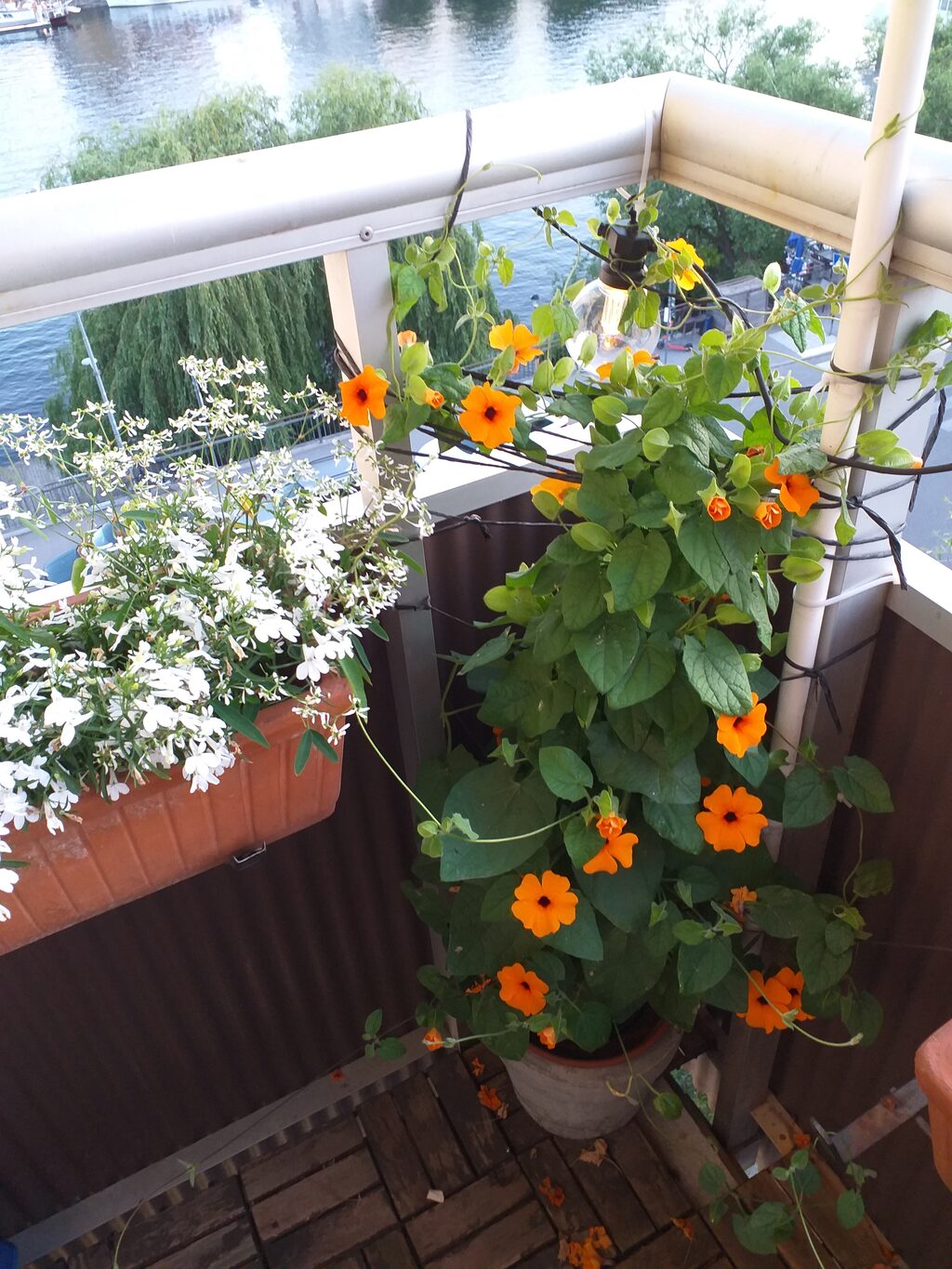 Lägenhetsbyte - Hornsgatan 153