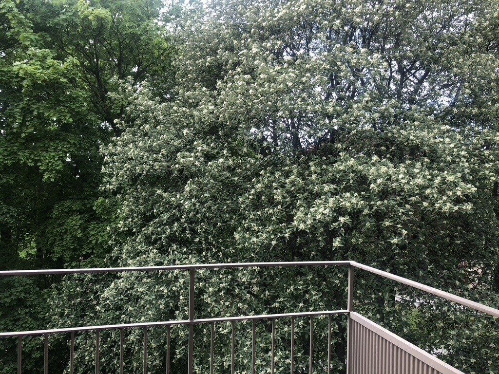 Lägenhetsbyte - Tyska Bottens väg 3