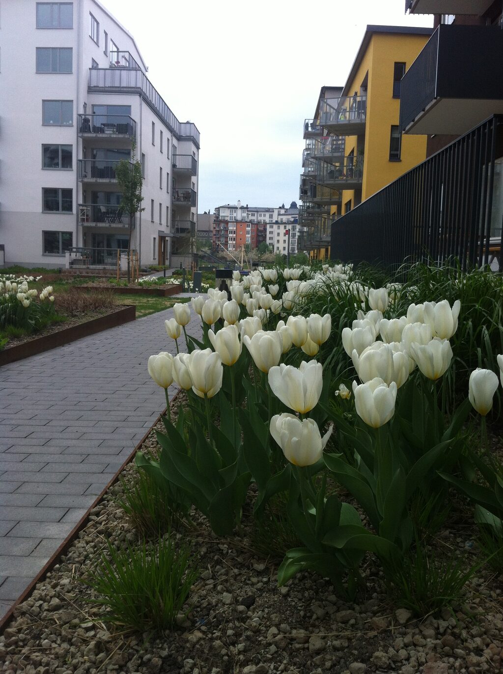 Lägenhetsbyte - Båtklubbsgatan 1