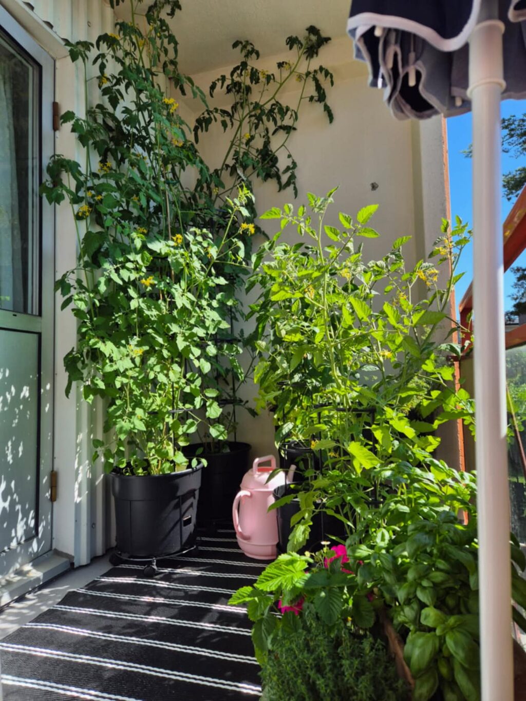 Lägenhetsbyte - Jungmansgatan 13