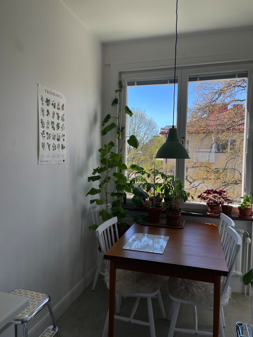 Lägenhetsbyte - Brantingsgatan 29