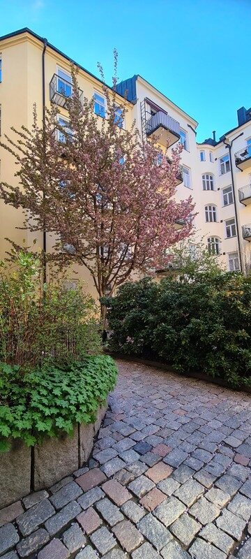 Lägenhetsbyte - Tjärhovsgatan 42 A