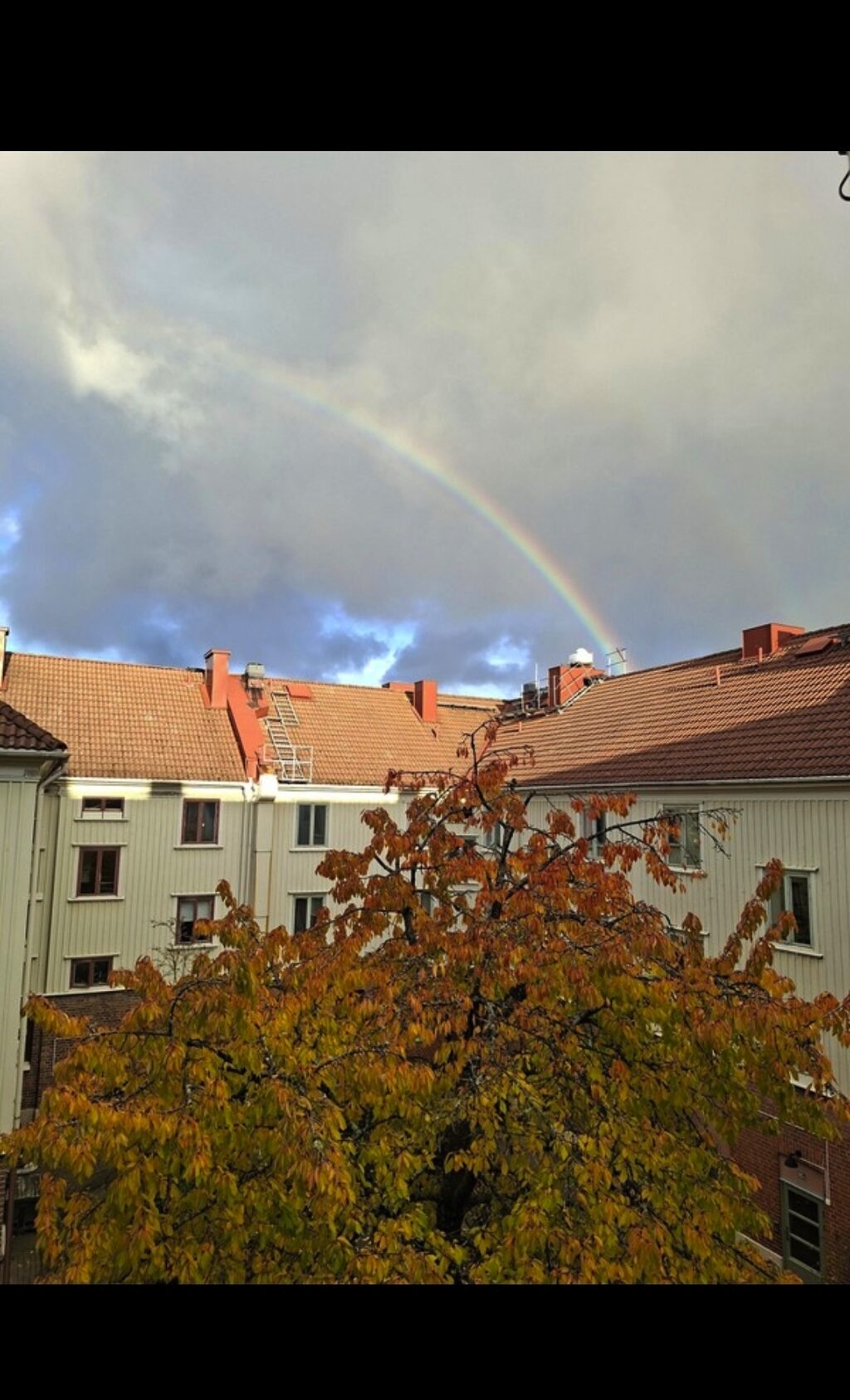 Lägenhetsbyte - Kustroddaregatan 1D