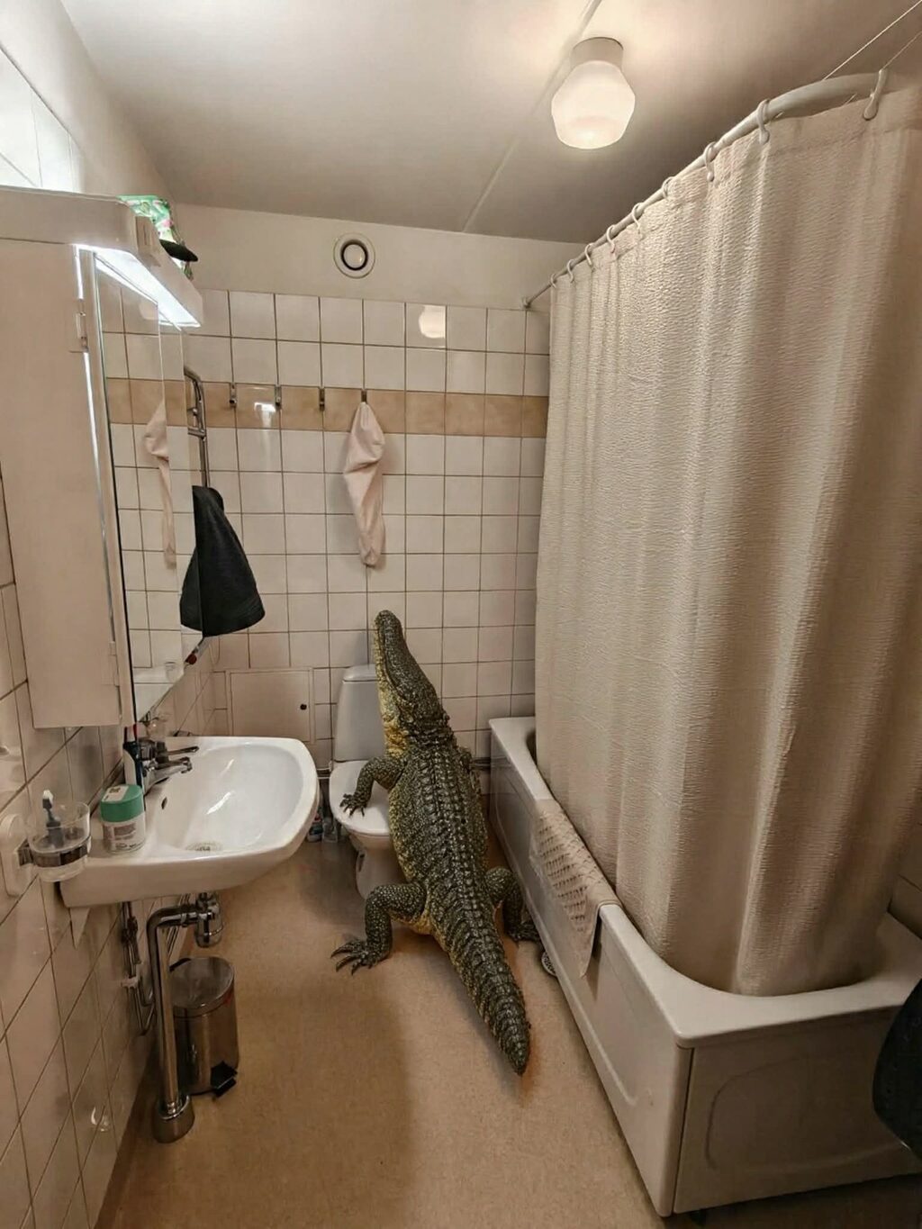 Lägenhetsbyte - Carl Alberts gränd 3