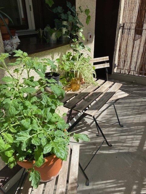 Lägenhetsbyte - Linnégatan 48