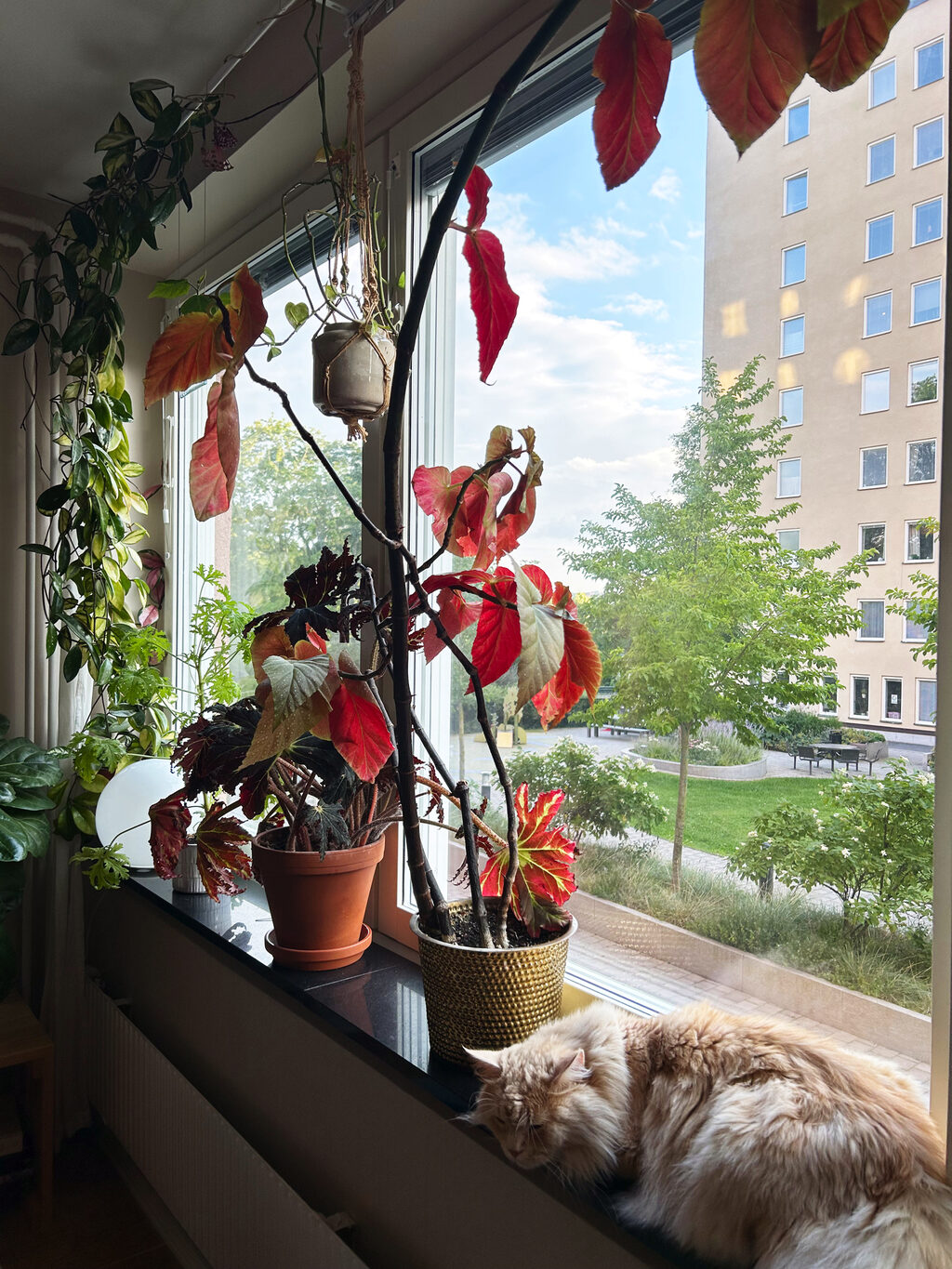 Lägenhetsbyte - Drakenbergsgatan 39