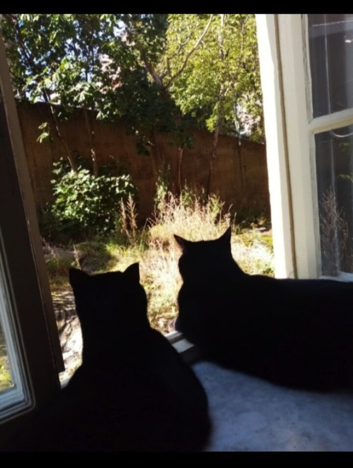 Lägenhetsbyte - Långholmsgatan 20