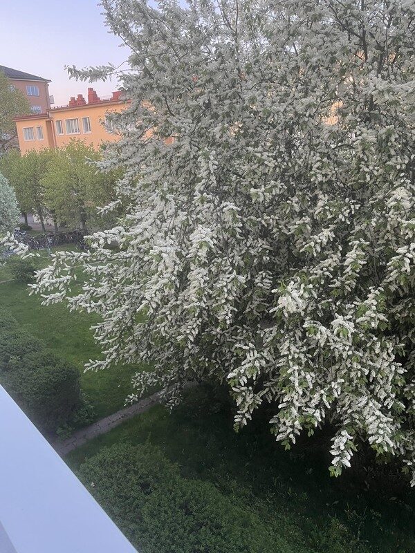 Lägenhetsbyte - Havregatan 13