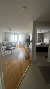 Nedre Torekällgatan 6