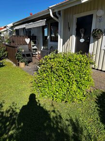 Tallvägen 50