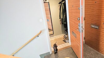 Doktor Saléns Gata 7
