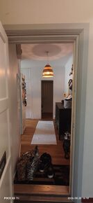 Vetegatan 3