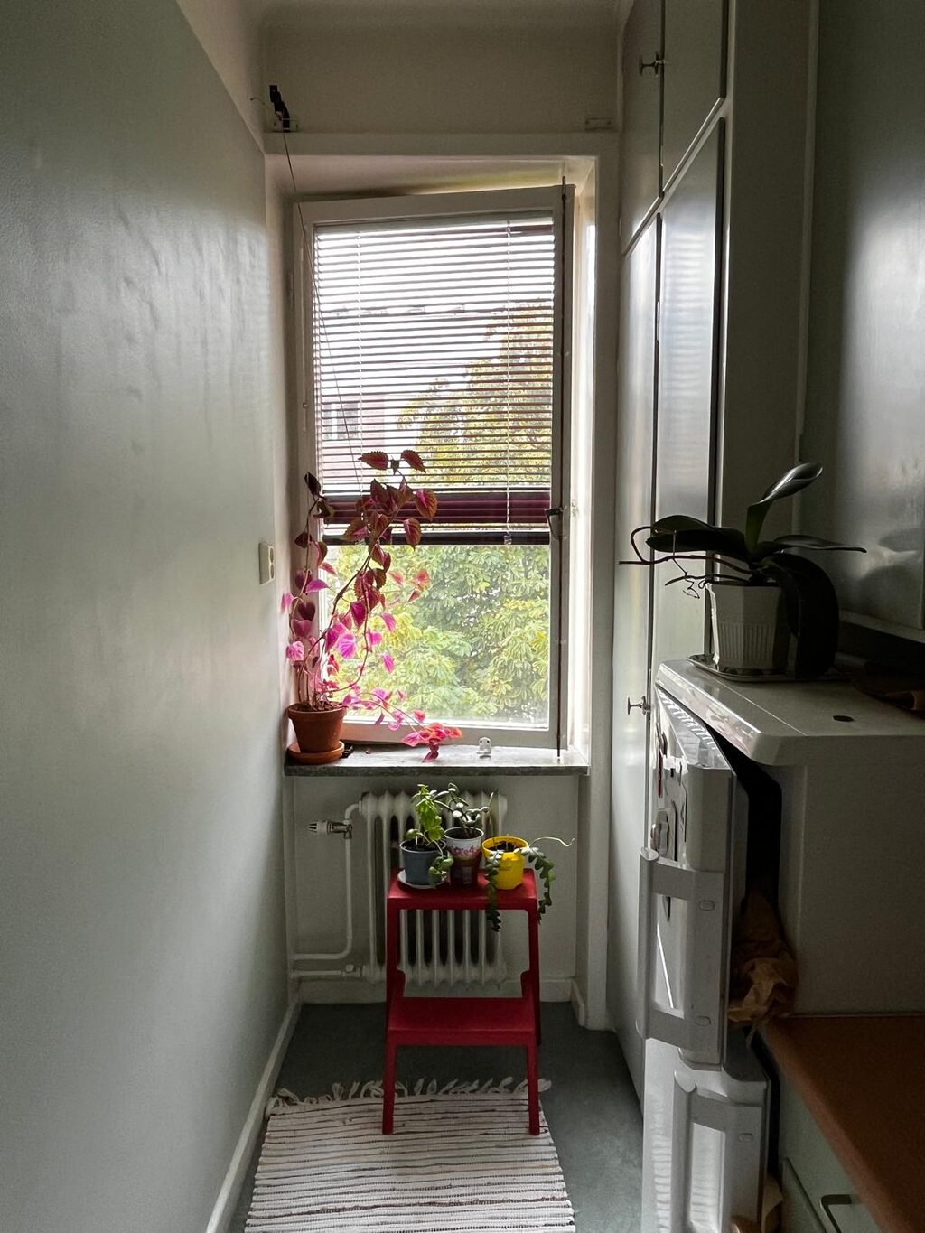 Lägenhetsbyte - Siargatan 19