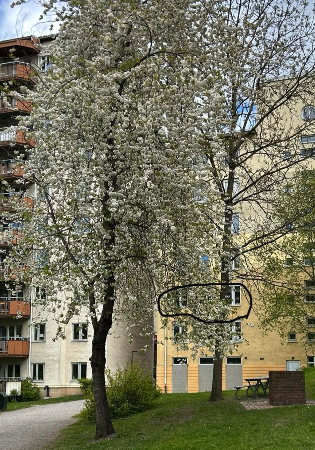 Lägenhetsbyte - Rosenlundsgatan 46A