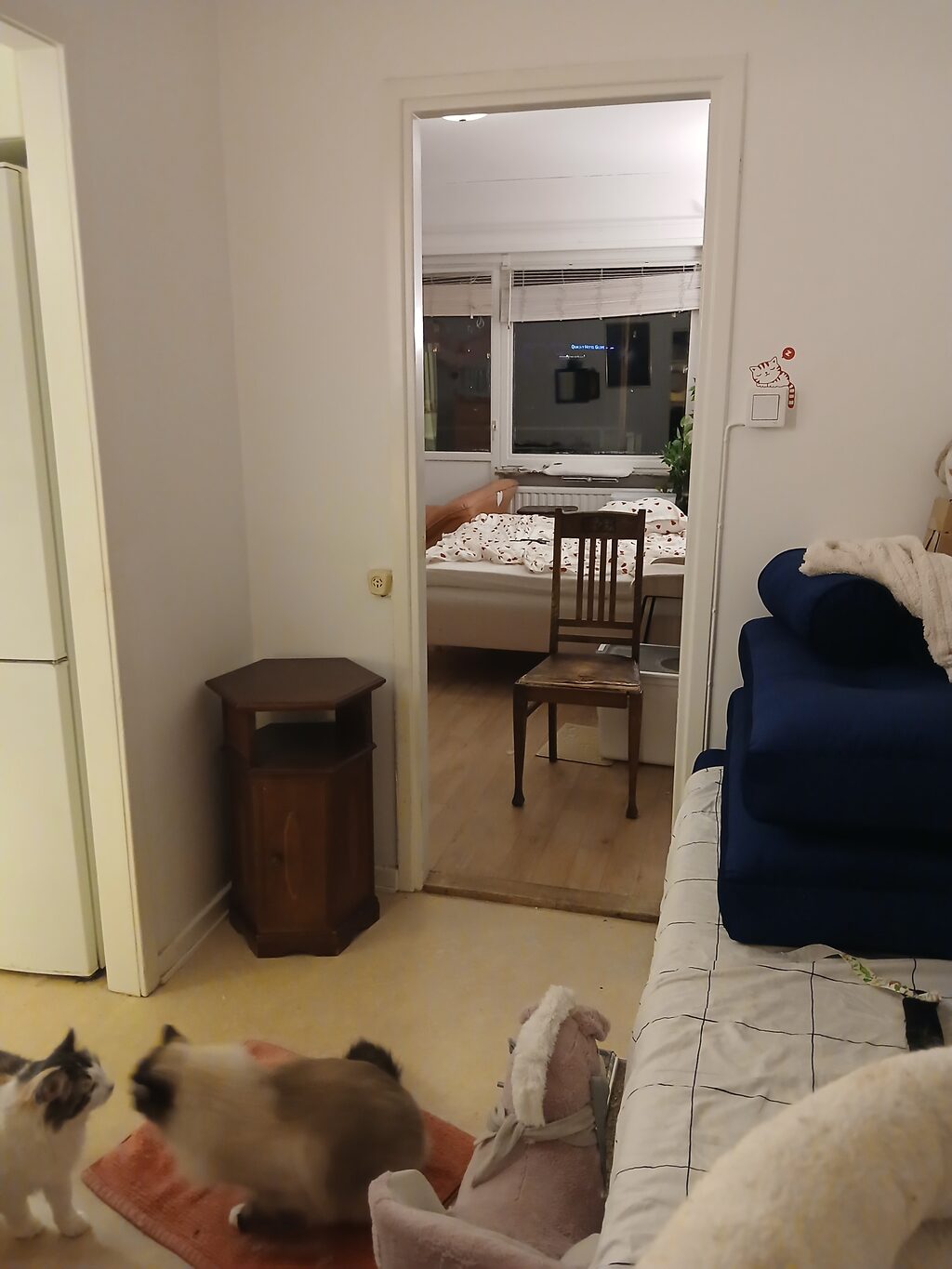 Lägenhetsbyte - Nathorstvägen