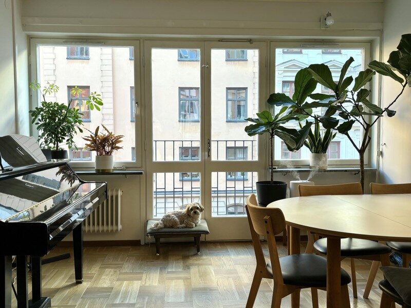 Lägenhetsbyte - Observatoriegatan 17