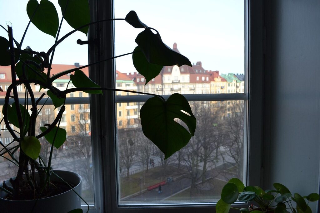Lägenhetsbyte - Sankt Eriksplan 7