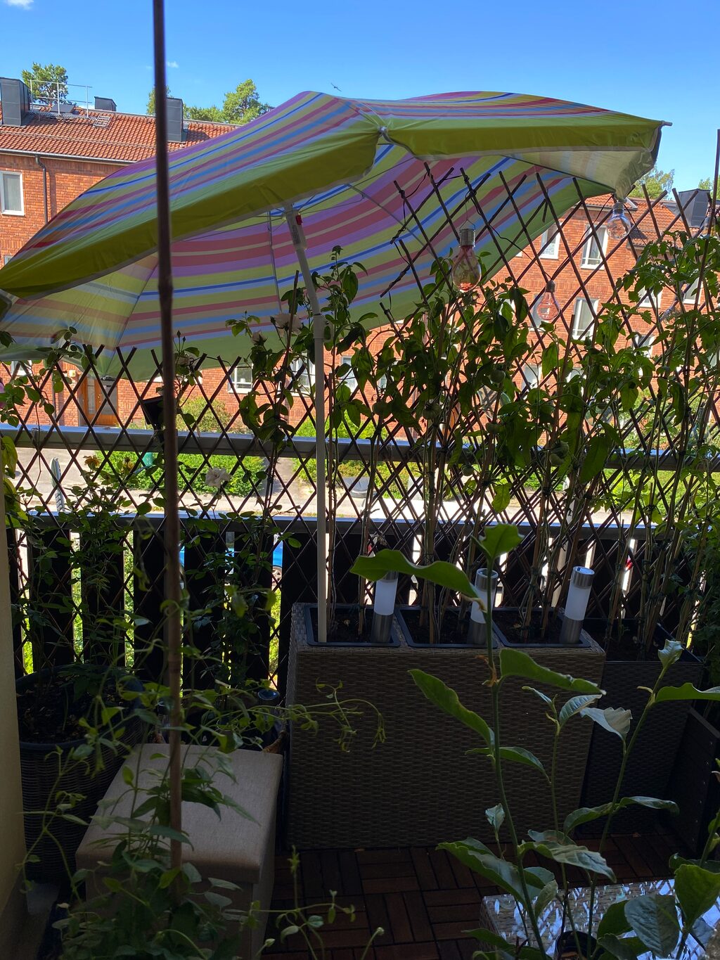 Lägenhetsbyte - Piprensarvägen 13