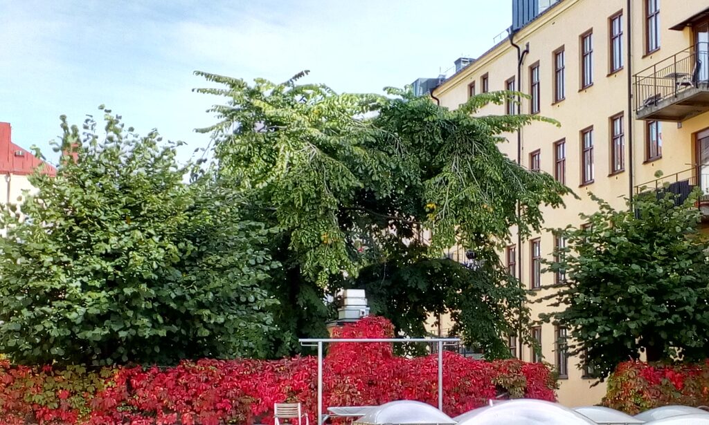 Lägenhetsbyte - Brännkyrkagatan 105