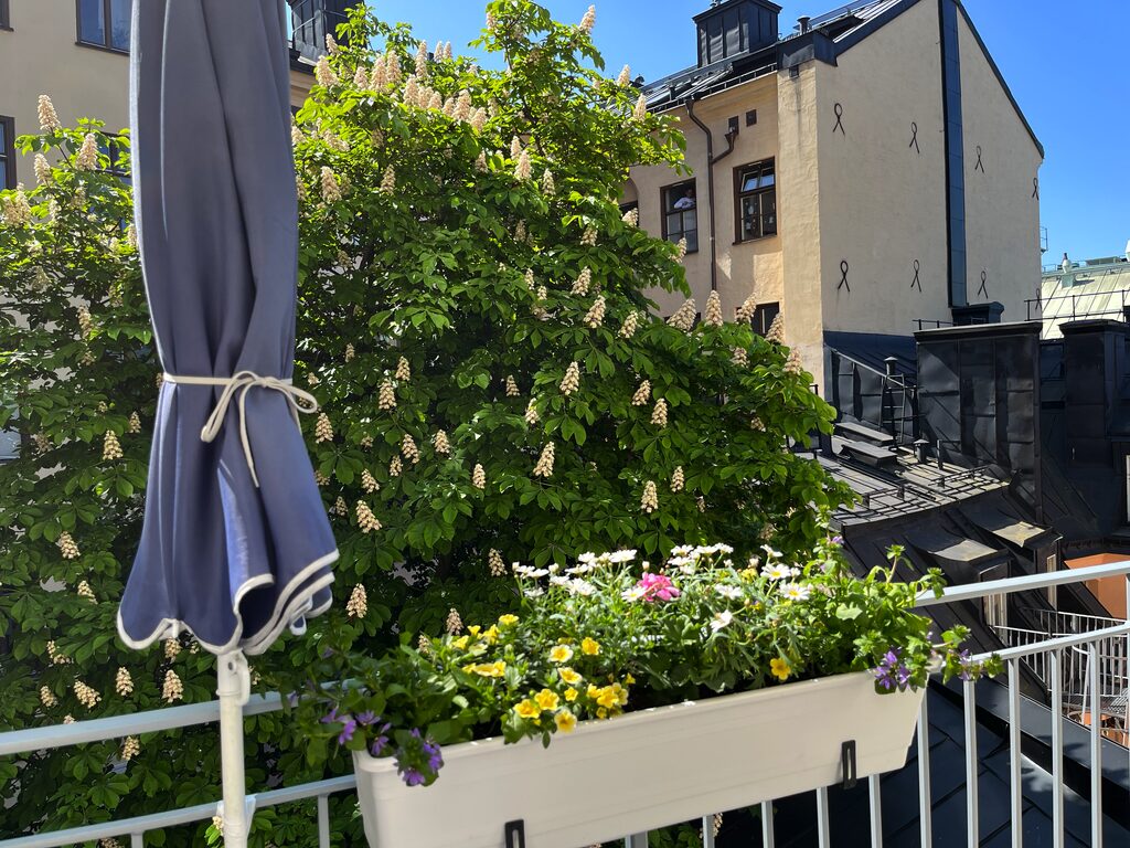 Lägenhetsbyte - Malmskillnadsgatan 43