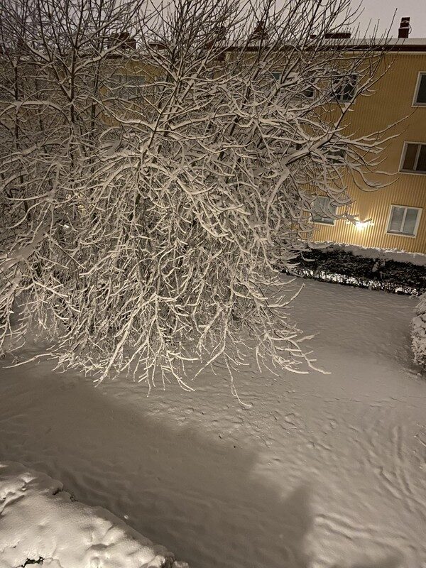 Lägenhetsbyte - Havregatan 13